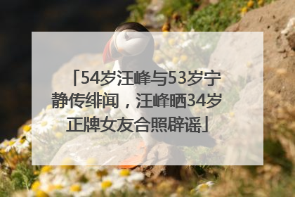 54岁汪峰与53岁宁静传绯闻，汪峰晒34岁正牌女友合照辟谣