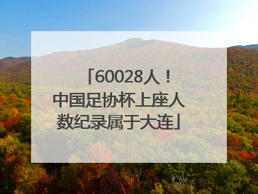 60028人！中国足协杯上座人数纪录属于大连