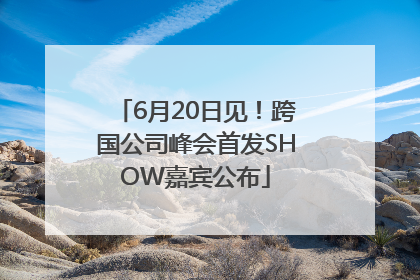 6月20日见！跨国公司峰会首发SHOW嘉宾公布