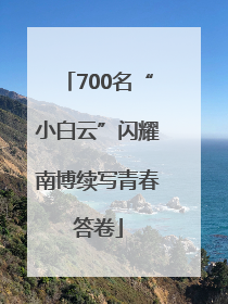 700名“小白云”闪耀南博续写青春答卷