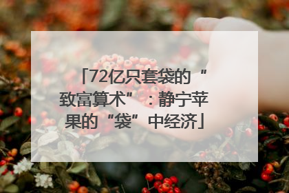 72亿只套袋的“致富算术”：静宁苹果的“袋”中经济