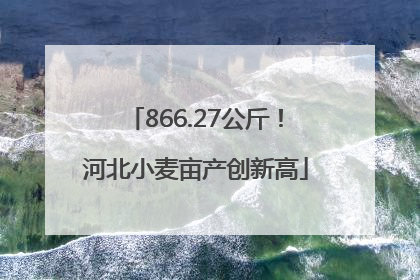 866.27公斤！河北小麦亩产创新高