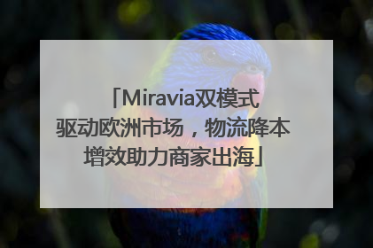 Miravia双模式驱动欧洲市场，物流降本增效助力商家出海