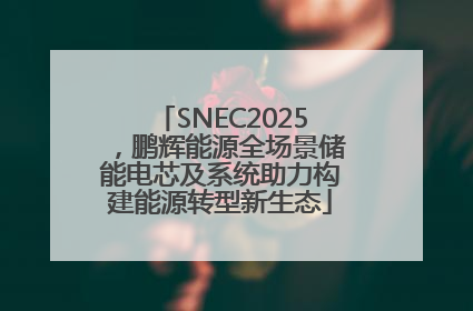 SNEC2025，鹏辉能源全场景储能电芯及系统助力构建能源转型新生态